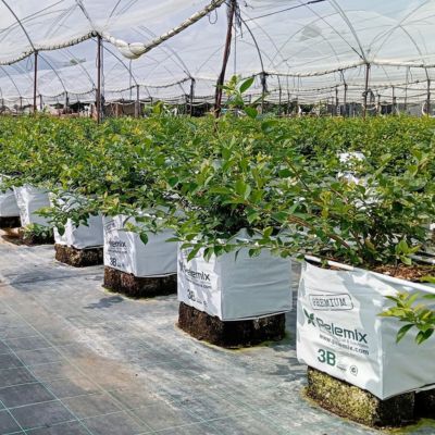 Pelemix Coir - Irribiz Australia